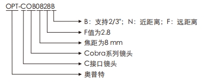 必发365(中国)兴趣网投天天必发